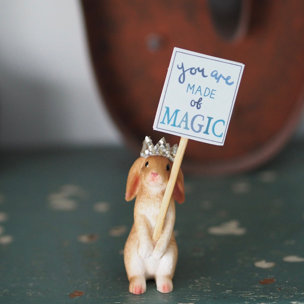 You are Made of Magic Rabbit