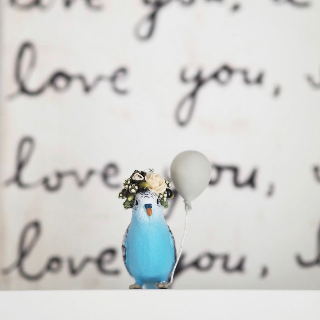 Blue Budgerigar with Pale Green balloon