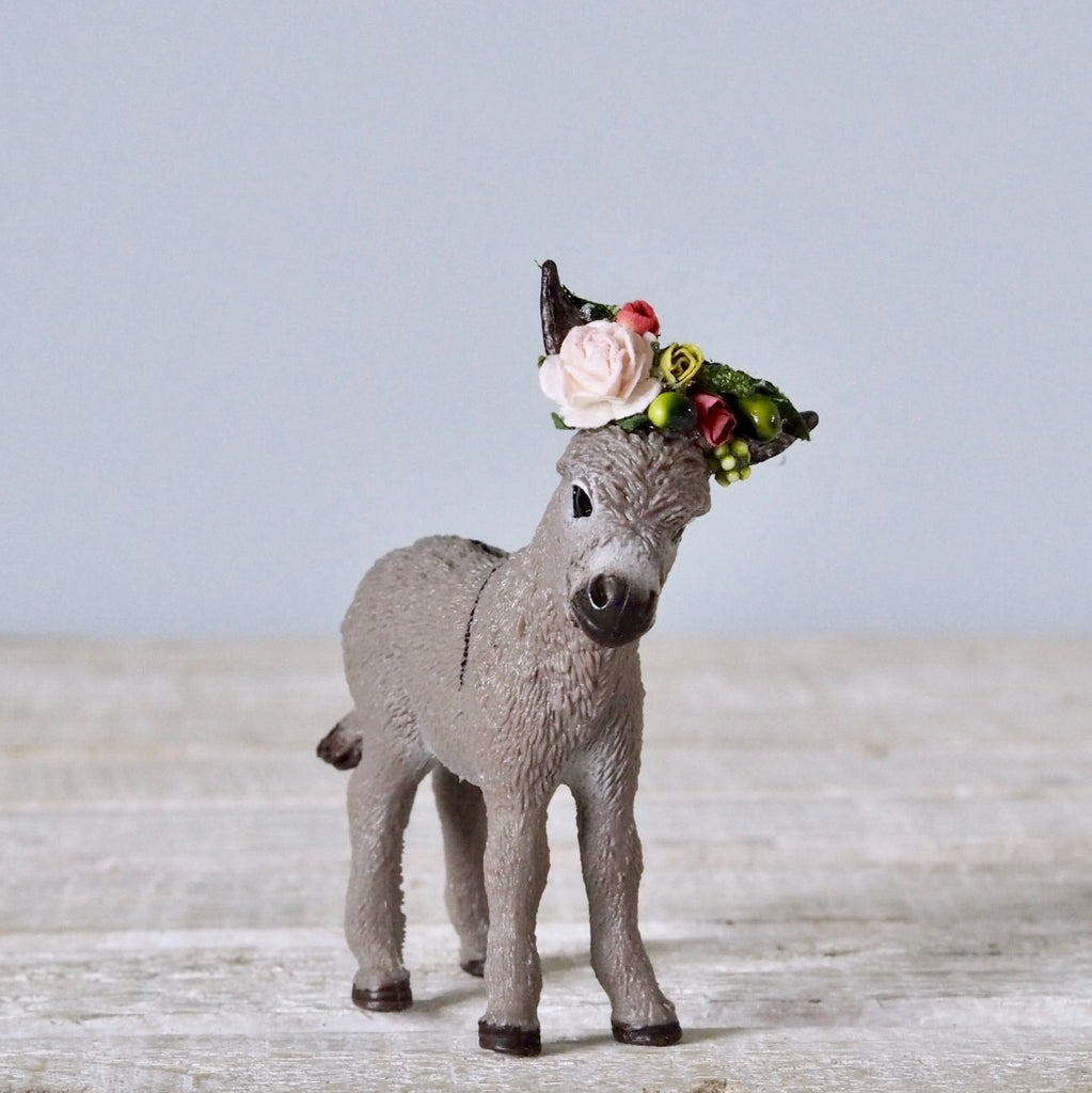Donkey Foal